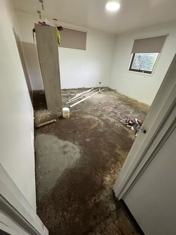 Piso y alfombra dañados por la filtración por caneria en Concón