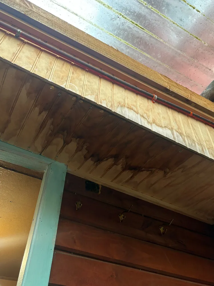 Cielo de madera manchado por filtración desde la techumbre por lluvia en Villa Alemana